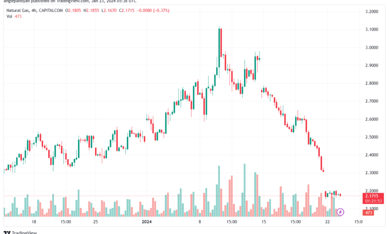 NATURALGAS_2024-01-23_07-38-06-min
