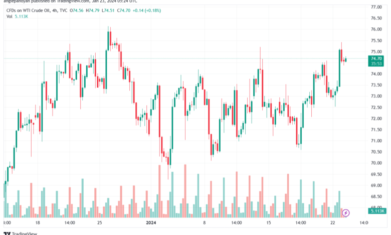 تحليل النفط CRUDE OIL - 23/1/2024