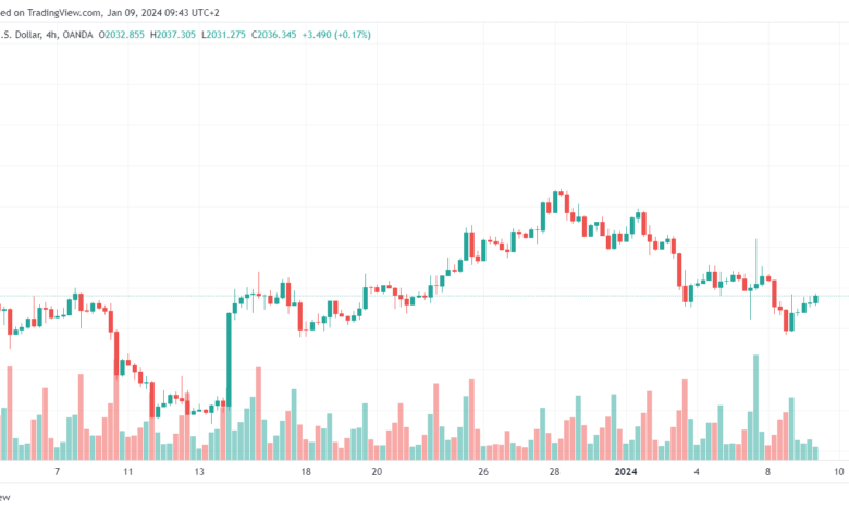 تحليل الذهب GOLD XAUUSD - 9/1/2024