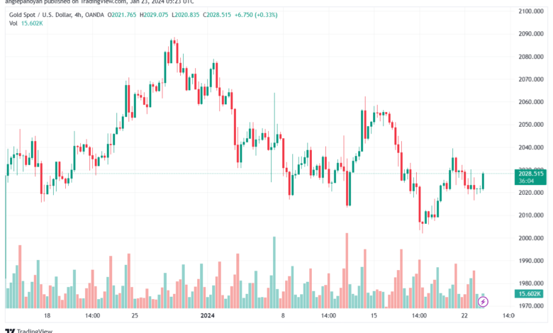 تحليل الذهب GOLD XAUUSD - 23/1/2024