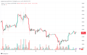 تحليل البتكوين دولار BTCUSD - 2912024