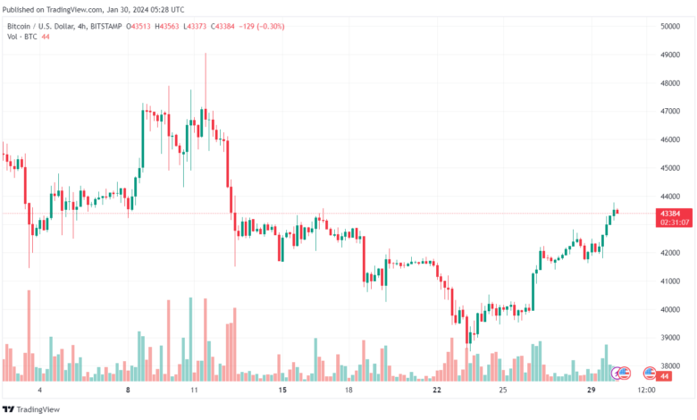 تحليل البتكوين دولار BTCUSD - 3012024