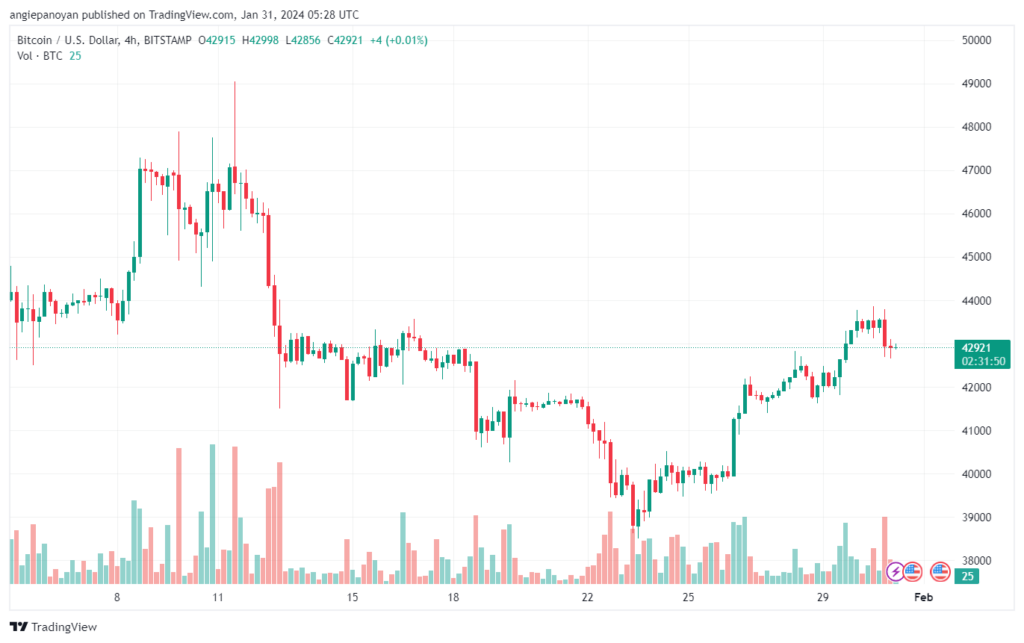 تحليل البتكوين دولار BTCUSD - 3112024