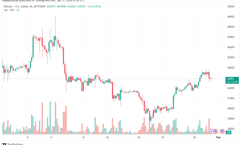 تحليل البتكوين دولار BTCUSD - 3112024