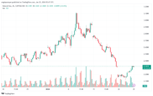 تحليل الغاز الطبيعي 2512024 NATURAL GAS