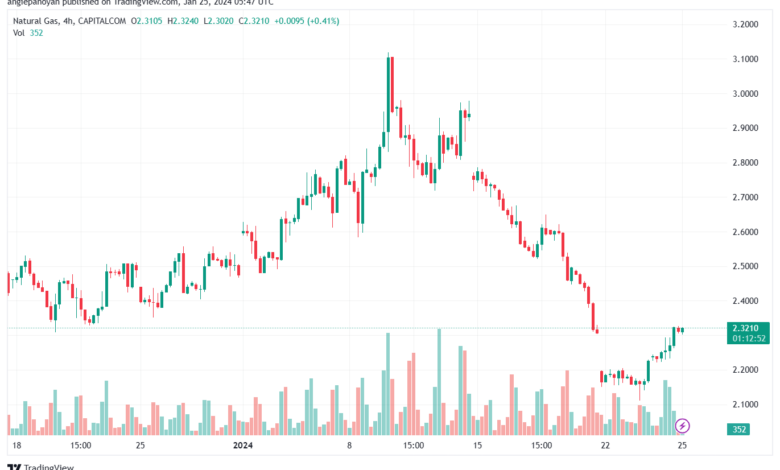 تحليل الغاز الطبيعي 2512024 NATURAL GAS