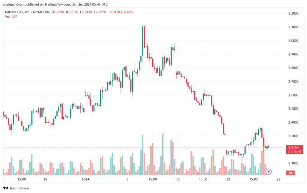 تحليل الغاز الطبيعي 2612024 NATURAL GAS