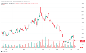 تحليل الغاز الطبيعي 2612024 NATURAL GAS