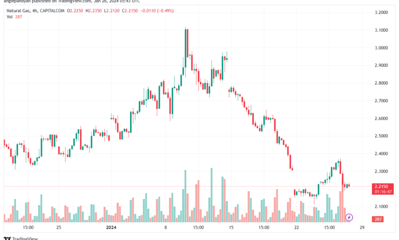 تحليل الغاز الطبيعي 2612024 NATURAL GAS