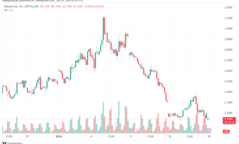 تحليل الغاز الطبيعي 2912024 NATURAL GAS