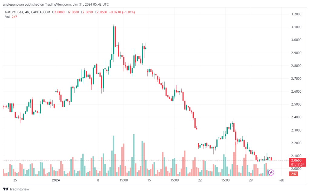 تحليل الغاز الطبيعي 3112024 NATURAL GAS