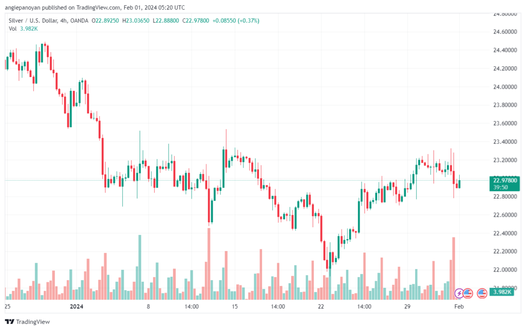 تحليل الفضة 122024 SILVER XAGUSD