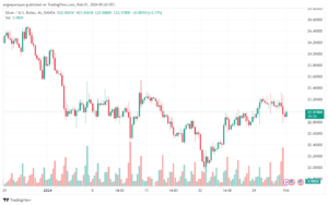 تحليل الفضة 122024 SILVER XAGUSD