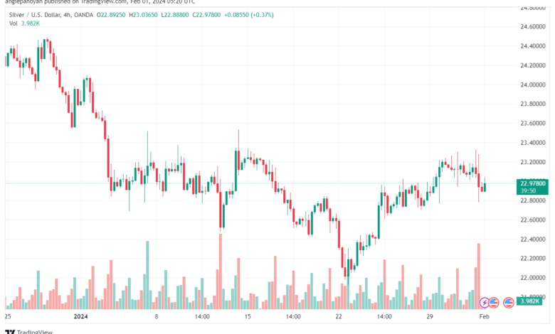 تحليل الفضة 122024 SILVER XAGUSD