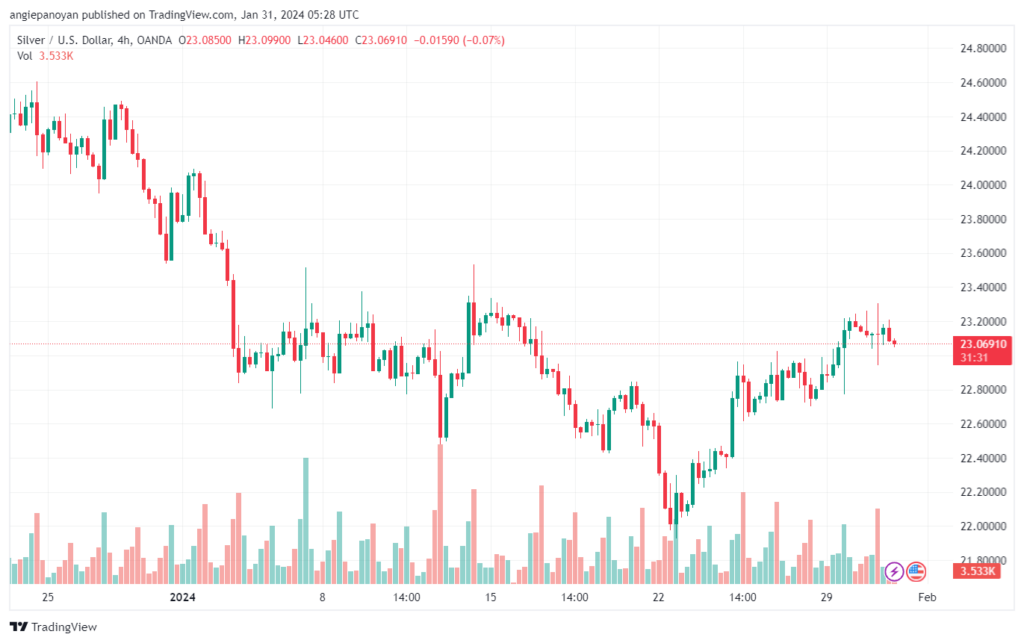 تحليل الفضة 3112024 SILVER XAGUSD