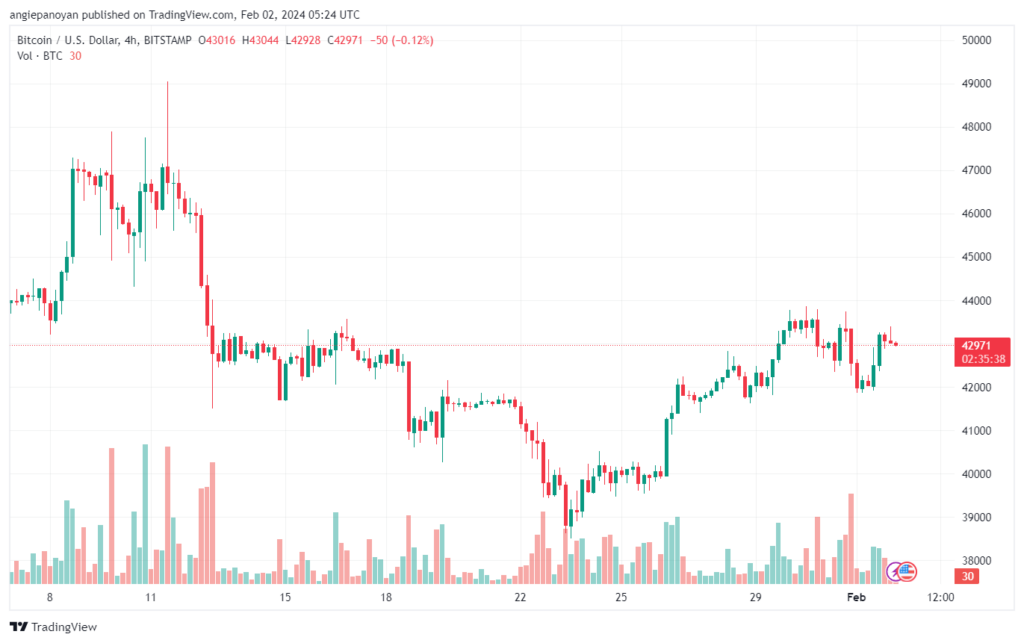 تحليل البتكوين دولار BTCUSD - 122024