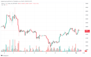 تحليل البتكوين دولار BTCUSD - 122024