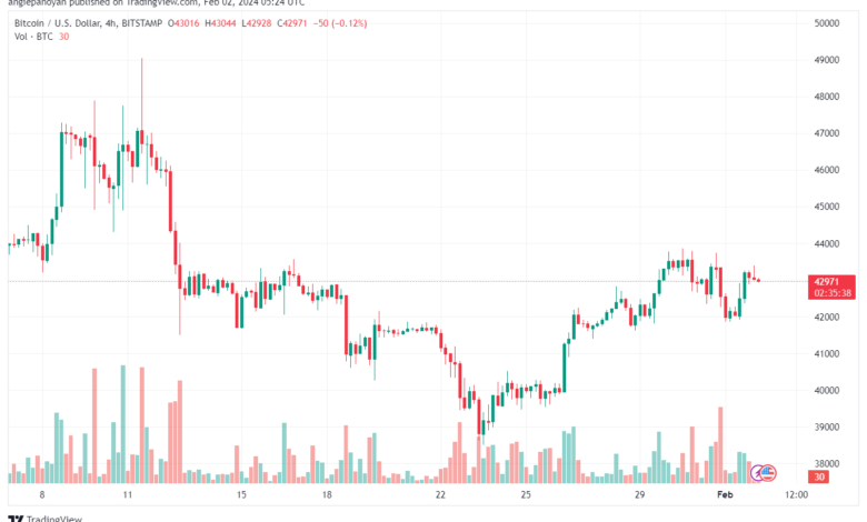 تحليل البتكوين دولار BTCUSD - 122024