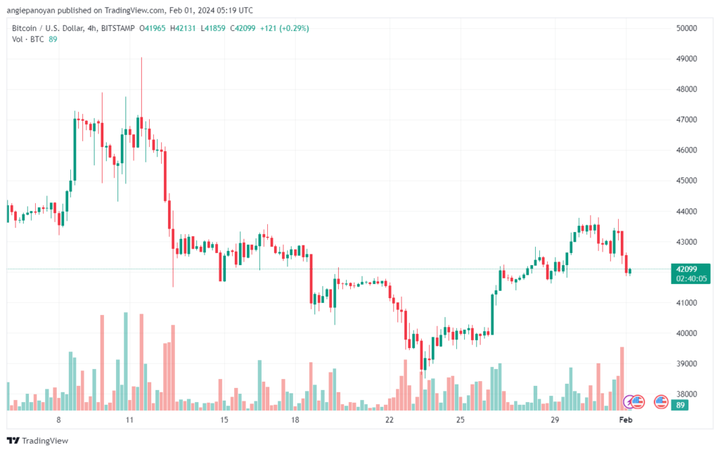 تحليل البتكوين دولار BTCUSD - 122024