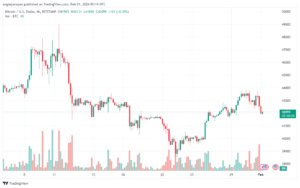 تحليل البتكوين دولار BTCUSD - 122024