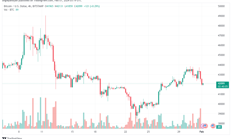 تحليل البتكوين دولار BTCUSD - 122024