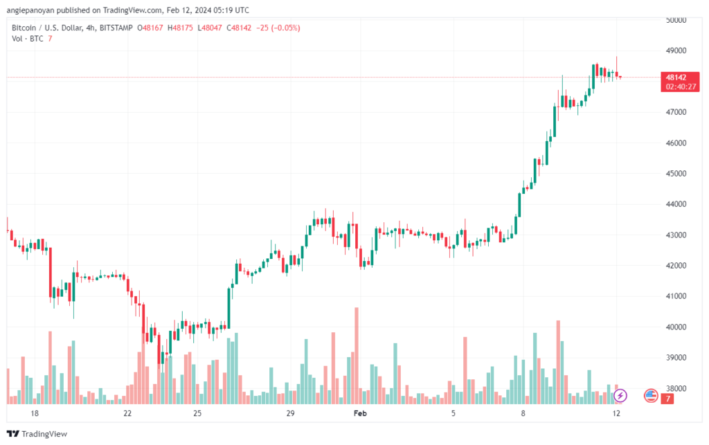 تحليل البتكوين دولار BTCUSD - 1222024