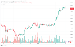 تحليل البتكوين دولار BTCUSD - 1222024