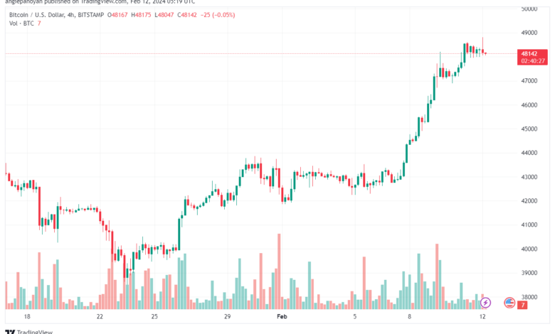تحليل البتكوين دولار BTCUSD - 1222024