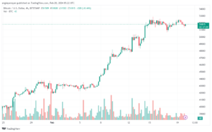 تحليل البتكوين دولار BTCUSD - 2022024