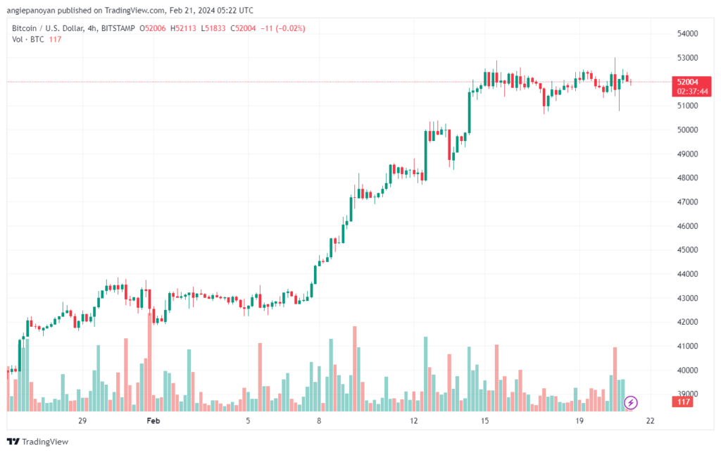 تحليل البتكوين دولار BTCUSD - 2122024