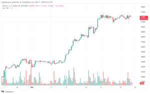 تحليل البتكوين دولار BTCUSD - 2122024