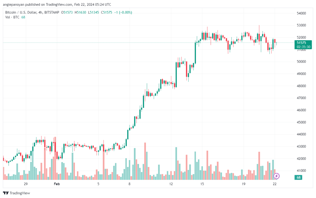 تحليل البتكوين دولار BTCUSD - 2222024