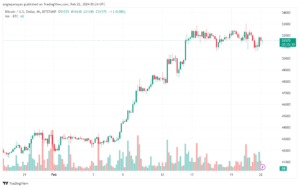 تحليل البتكوين دولار BTCUSD - 2222024