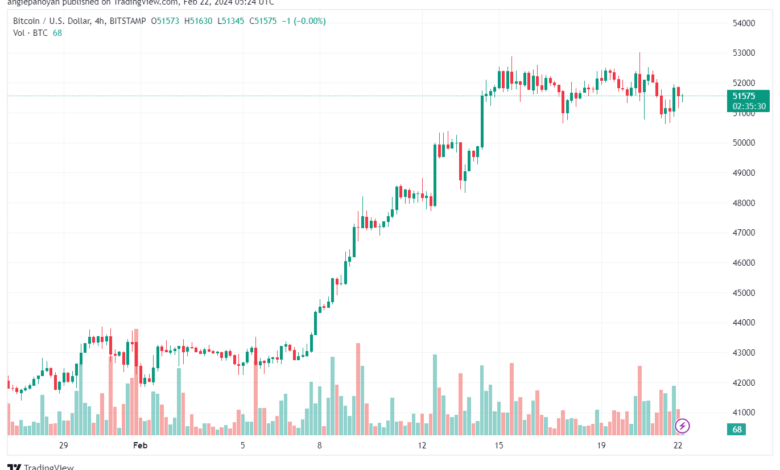 تحليل البتكوين دولار BTCUSD - 2222024