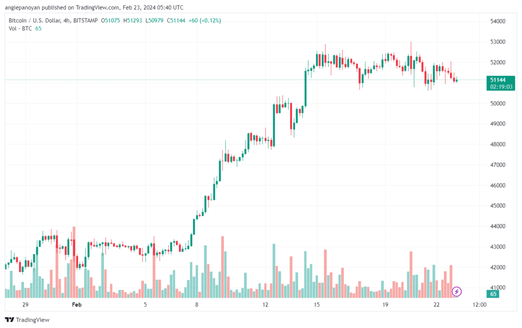 تحليل البتكوين دولار BTCUSD - 2322024