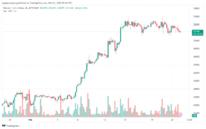 تحليل البتكوين دولار BTCUSD - 2322024