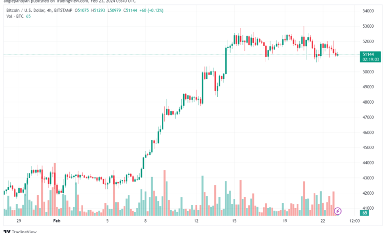 تحليل البتكوين دولار BTCUSD - 2322024