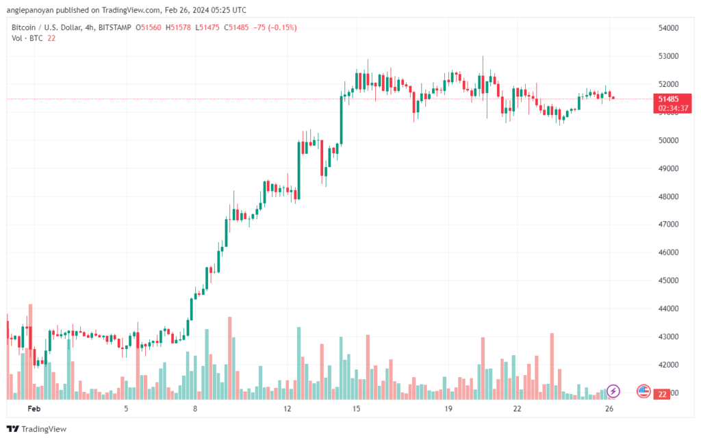 تحليل البتكوين دولار BTCUSD - 2622024