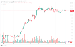 تحليل البتكوين دولار BTCUSD - 2622024