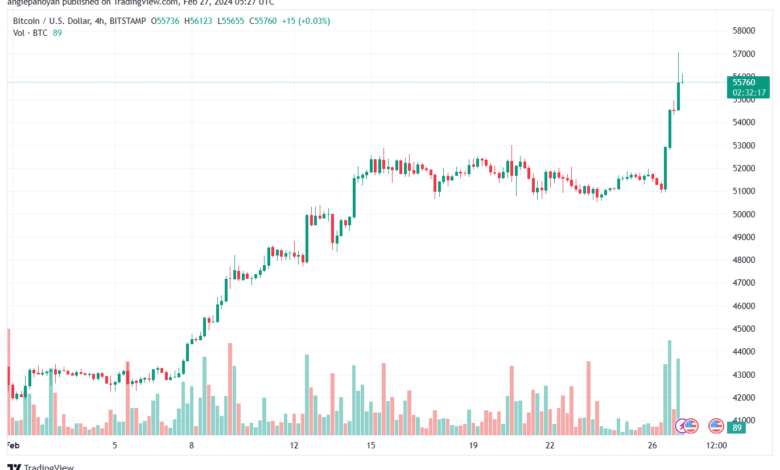 تحليل البتكوين دولار BTCUSD - 2722024