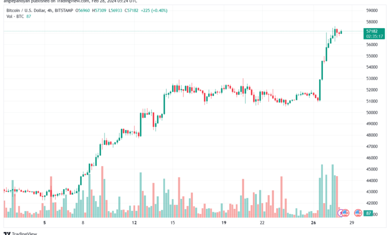 تحليل البتكوين دولار BTCUSD - 2822024