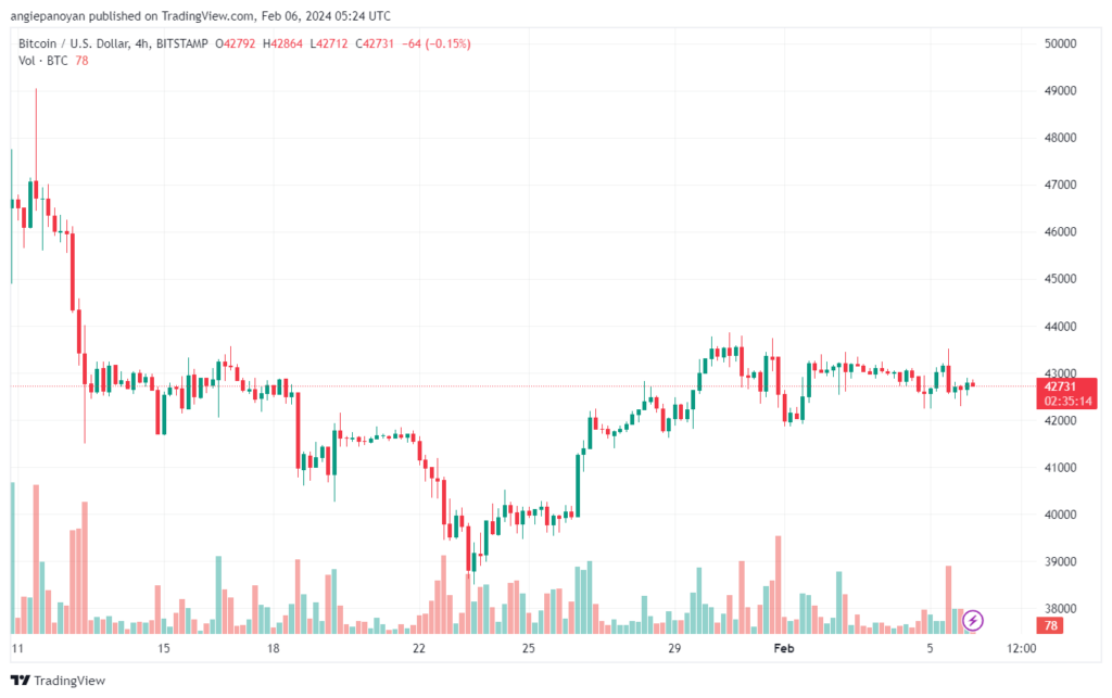 تحليل البتكوين دولار BTCUSD - 622024