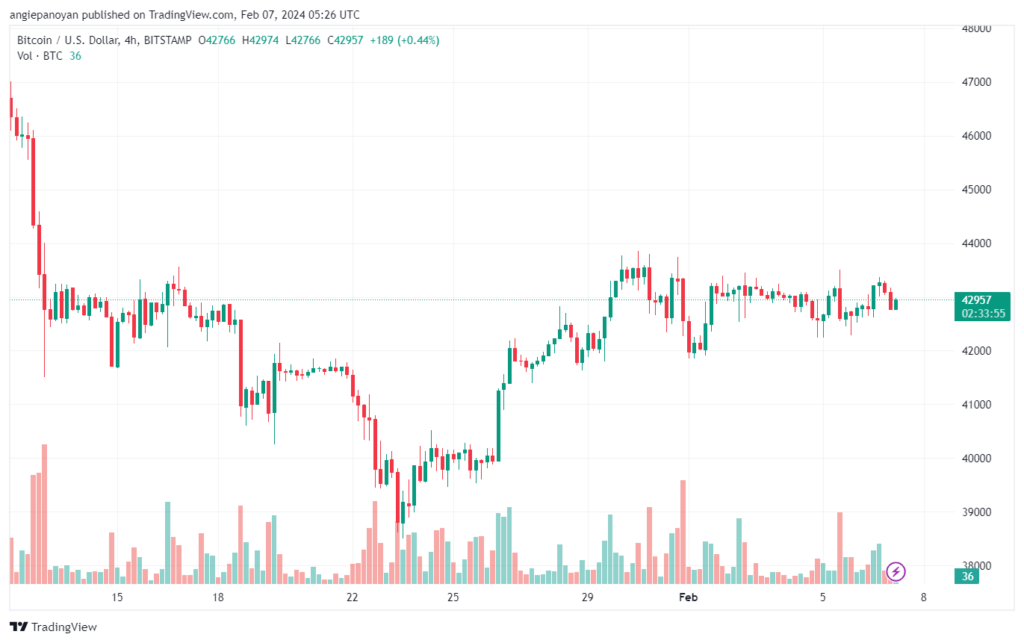 تحليل البتكوين دولار BTCUSD - 722024