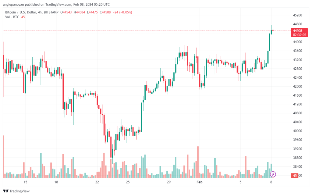 تحليل البتكوين دولار BTCUSD - 822024