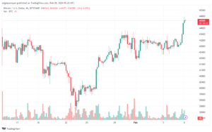تحليل البتكوين دولار BTCUSD - 822024