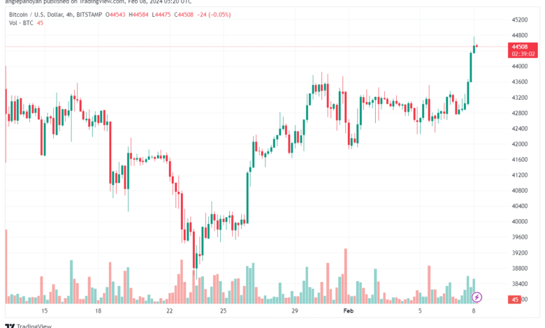 تحليل البتكوين دولار BTCUSD - 822024
