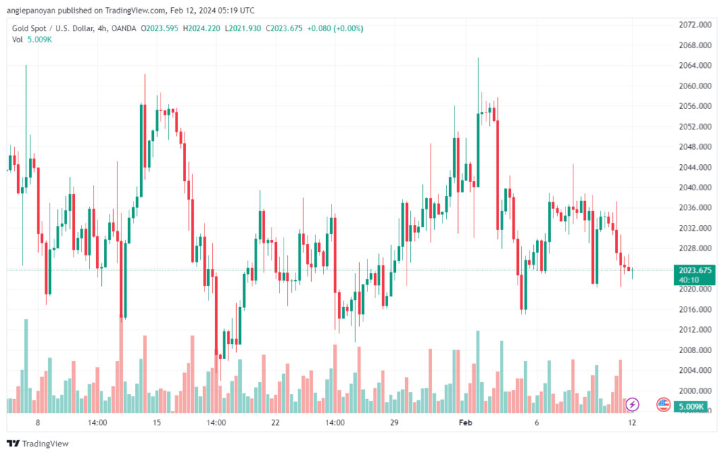 تحليل الذهب GOLD XAUUSD - 1222024