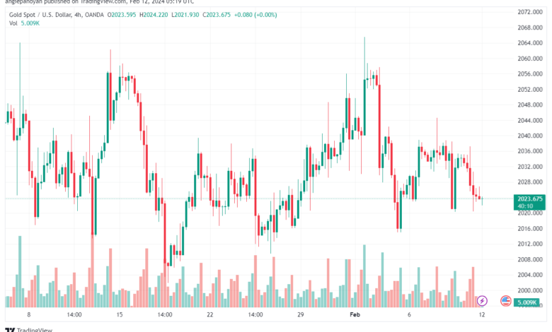 تحليل الذهب GOLD XAUUSD - 1222024