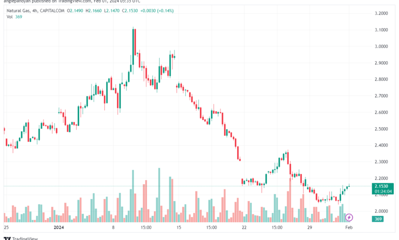 تحليل الغاز الطبيعي 122024 NATURAL GAS