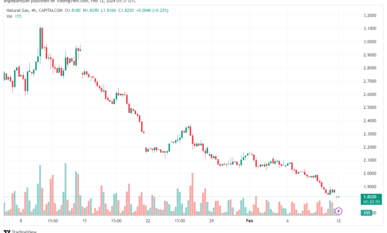 تحليل الغاز الطبيعي 1222024 NATURAL GAS
